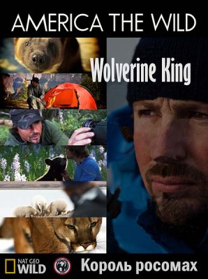  :   / America the wild: Wolverine King (2011) HDTVRip