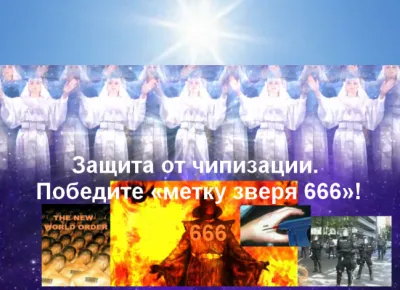 Защита от чипизации. Победите «метку зверя 666»!