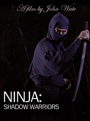  - / Ninja Shadow warriors (2011) SATRip