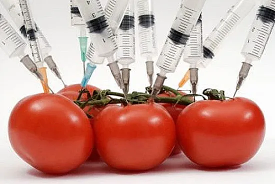 ГМО оккупирует Россию ГМО оккупирует Россию