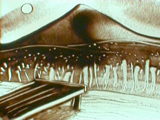 Атланты. В поисках истины. Будущее Земли - гибель или новое рождение? (08.06.2012) Атланты. В поисках истины. Будущее Земли - гибель или новое рождение? (08.06.2012)