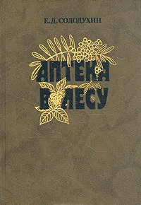 Аптека в лесу (Солодухин) Аптека в лесу (Солодухин)