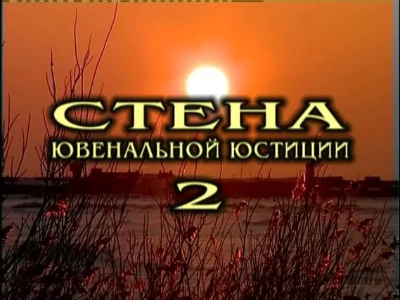 Стена ювенальной юстиции 2: Шесть историй Стена ювенальной юстиции 2: Шесть историй
