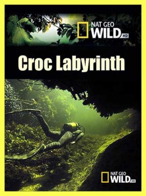   / Croc Labyrinth (2011) SATRip