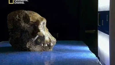 Мальчик возрастом в два миллиона лет / The Two Million Year Old Boy (2011) SATRip