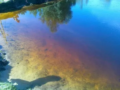Заклание Крымска. Потрава водоемов. Манипуляции с человечиной