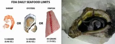 Метастазы Мексиканского залива - часть 14-1