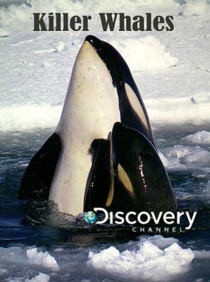  - . - / Killer Whales (2010) SATRip