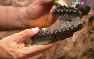 NG: Когда континенты сталкиваются / When Continents Collide (2011) SATRip