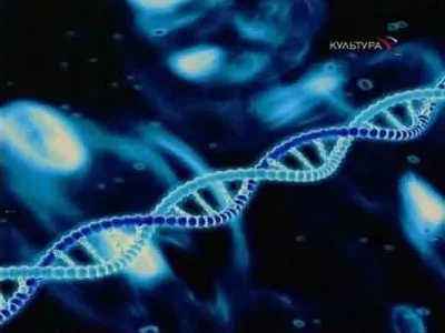 BBC: Колыбель жизни / BBC: The Cradle of Life (2005) SATRip