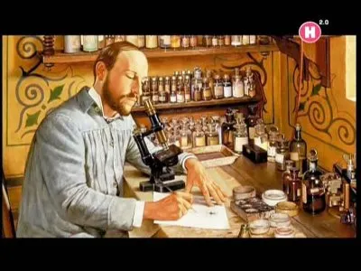 Загадки памяти / The mysteries of memory (2010) SATRip