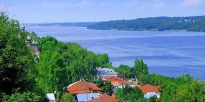 Медведев вырубил березовые рощи в угоду сыну