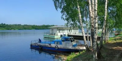 Медведев вырубил березовые рощи в угоду сыну