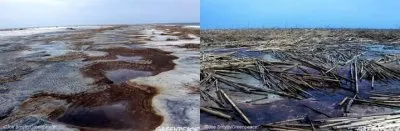 О превращении США в жертву «природных катастроф (окончание)
