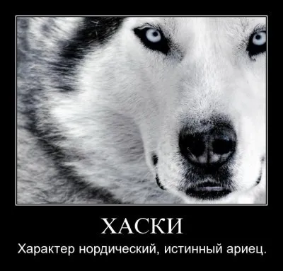 Дмитрий Беранже. Фронт Арийского Освобождения