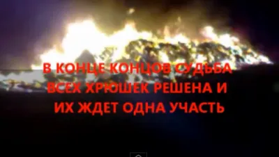 Нам подложат генномодифицированную свинью!!