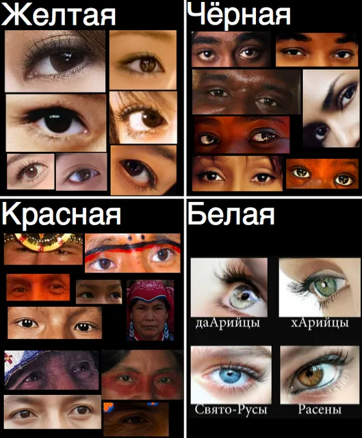 uploads/posts/2012-11/rasa-i-russkaya-ideya-vb-avdeev-an-savelev.webp