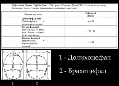 15 антропологических типов европеоидной расы