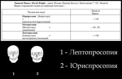15 антропологических типов европеоидной расы
