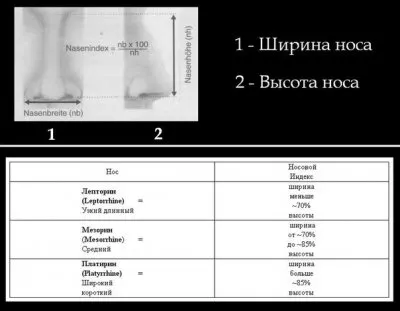 15 антропологических типов европеоидной расы