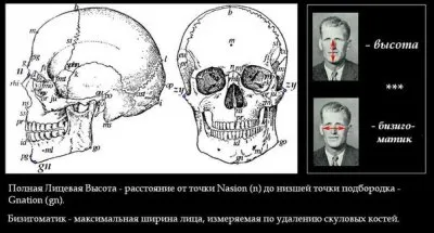 15 антропологических типов европеоидной расы