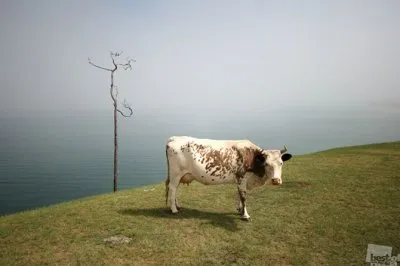 40 лучших фотографий России в 2012г.