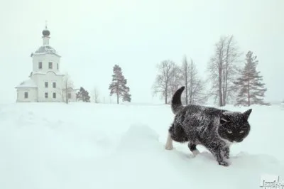 40 лучших фотографий России в 2012г.