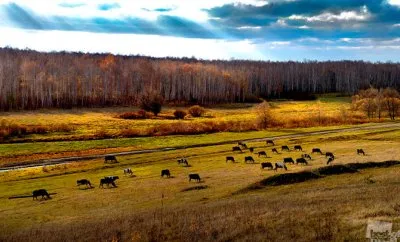 40 лучших фотографий России в 2012г.