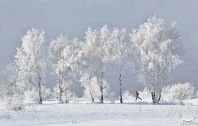 40 лучших фотографий России в 2012г.