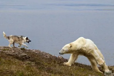 40 лучших фотографий России в 2012г.