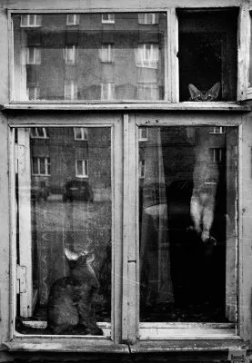 40 лучших фотографий России в 2012г.