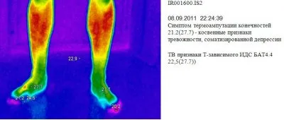 Всё об эффективном тренажере «ПравИло»