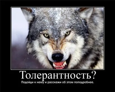 Московские власти заплатят блогерам за пропаганду толерастии