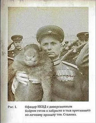 Удивителен каждый день!-Фотомонтаж как инструмент пропаганды.