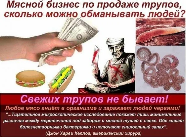 Азы пищеварения и здоровья человека – 1 часть