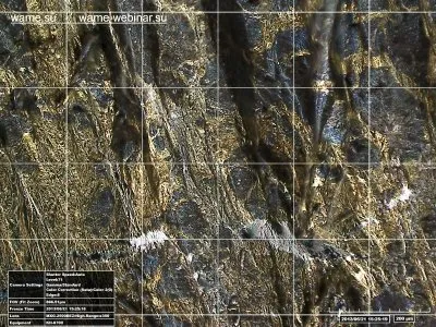 Замороженная структурированная вода под микроскопом, обработанная с помощью торсионных технологий (продолжение)