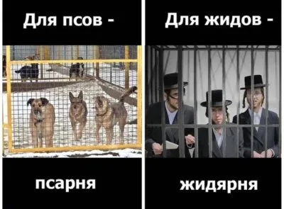 Расология - В.Б. Авдеев