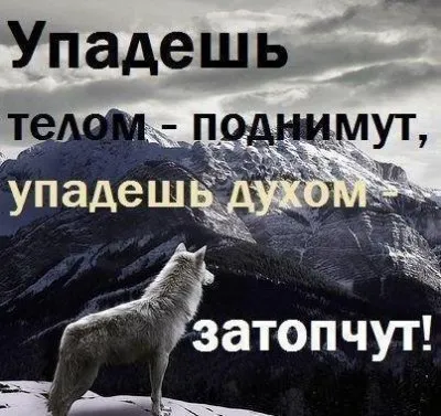 Причины проигрыша Поветкина