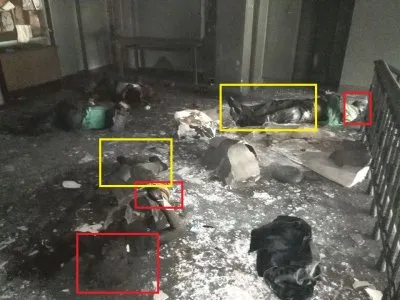Как убивали одесситов в Доме Профсоюзов - детали сценария... +18