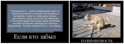 Нарушение Ясы – Кона Рода и Заповедей Предков – основная причины краха Белой Гвардии и развала Казачества