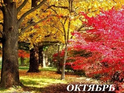 Наталья Неволина: Месяц ОКТЯБРЬ