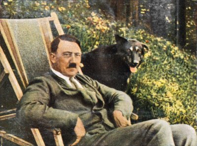 "Mein kampf" -   money-" -   ()
