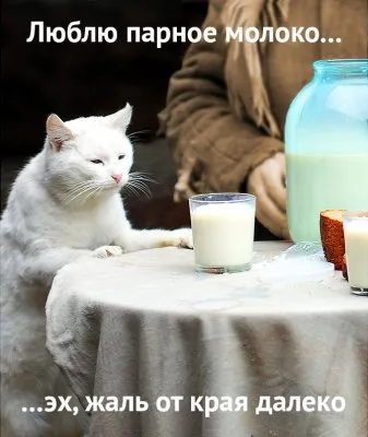 Правда и ложь о молоке и молочных продуктах