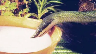 Правда и ложь о молоке и молочных продуктах