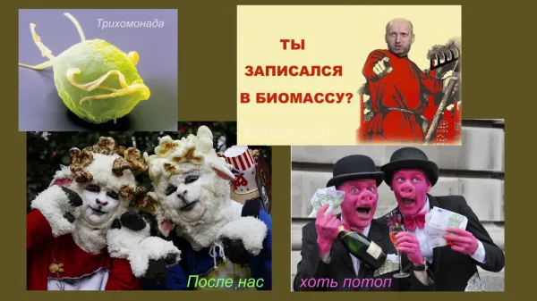 Ниточки, которые ведут