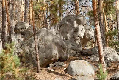 Древние останцы. Каменный лес в Самарской Области