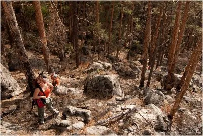 Древние останцы. Каменный лес в Самарской Области