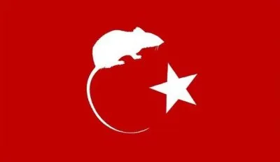 Санкции в отношении Турции хорошо, но к ним нужна грамотная внутренняя политика в России