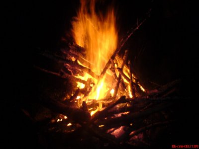 .     . .   ( )  . ()