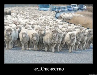 Глобальный театр мрази. Лжетеракты в Харькове и Анкаре